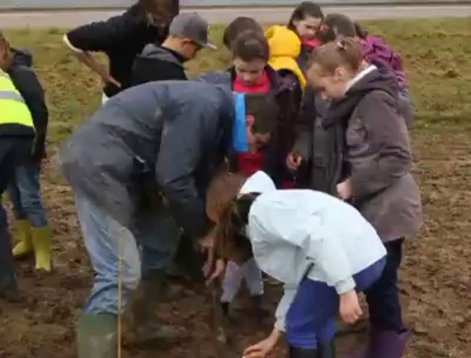 Noordpenne : les enfants de l'école ont planté des arbres