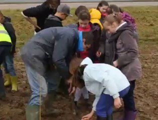 Noordpenne : les enfants de l'école ont planté des arbres