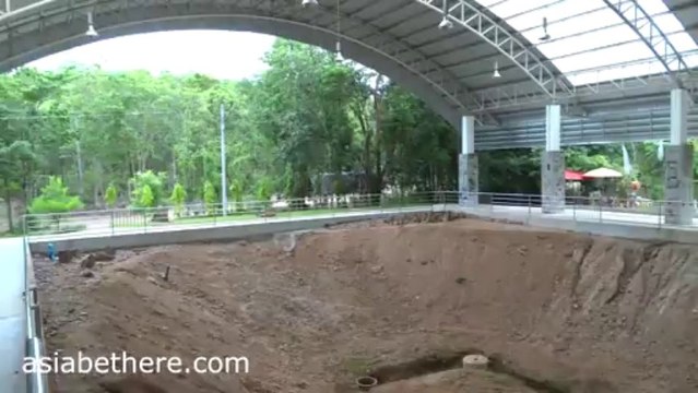 World's largest fossil tree in Bantak Petrified Forest Park Tak Thailand