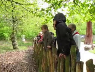 Francis Navez tond les moutons du parc Mosaïc