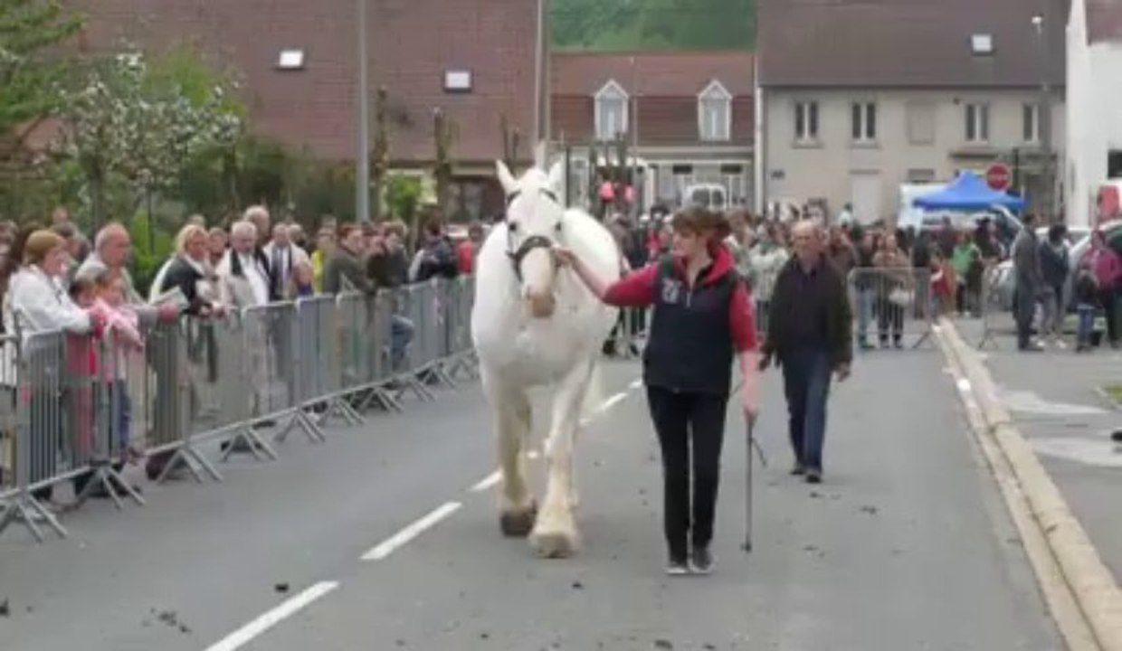 Pernes : concours de chevaux boulonnais lors de la foire