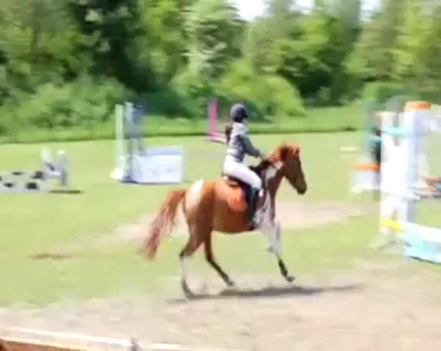 Courrières: concours hippique à la ferme pédagogique