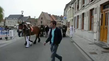Steenvoorde: parade des chevaux lors de la Meï Feest