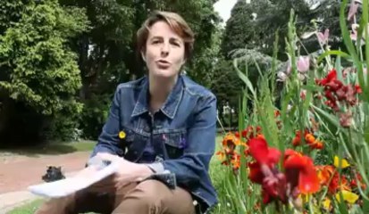 Cambrésis: le point sur l'actualité de ce 29 mai