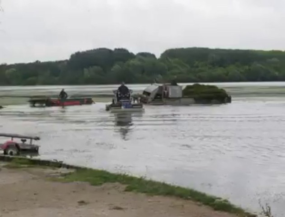 Villeneuve-d'Ascq : tentative pour éradiquer l'herbe invasive du lac du Héron