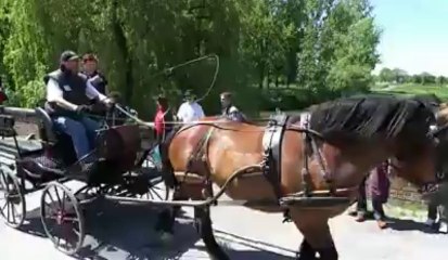Spectacle De Sang et de Marbre à Flaumont.