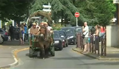 Une calèche à Mons-en-Baroeul