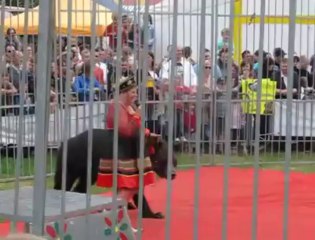Fête des animaux à Saint-Tricat: montreur d'ours