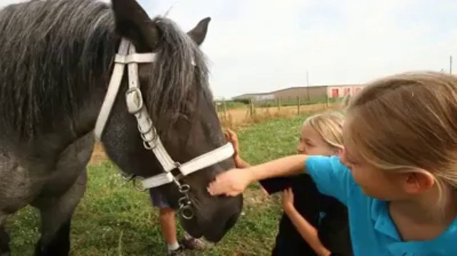 A la découverte du concours Trait du nord d'Allennes-les-Marais