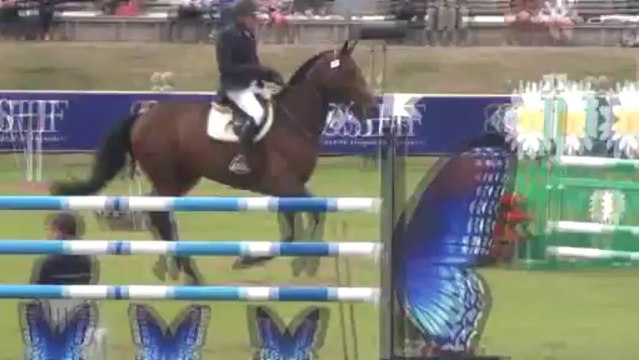 Ultragood des Vaux : finale 5 ans Fontainebleau