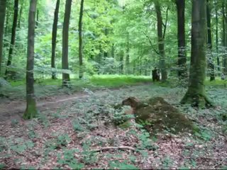 CROSS 2013 AVEC DOMAINE DE LORLEAU