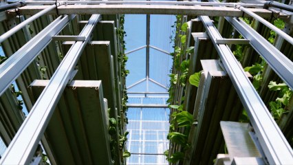 Feeding 9 Billion: Vertical Farming - Singapore