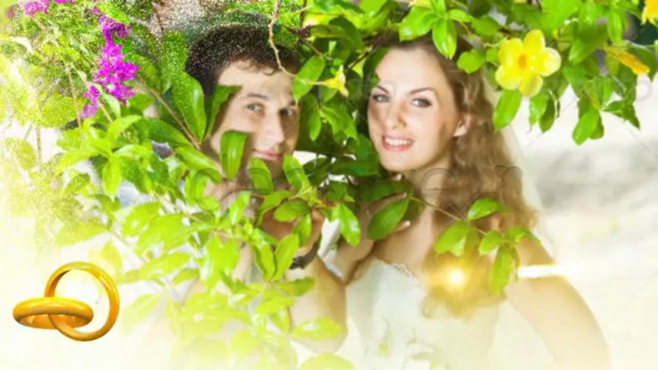 Wedding Intro - After Effects Template