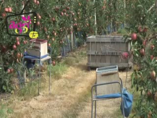 JT agri85TV du vendredi 6 septembre 2013