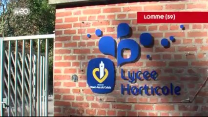 Qui sont les agriculteurs du Nord-Pas-de-Calais ?