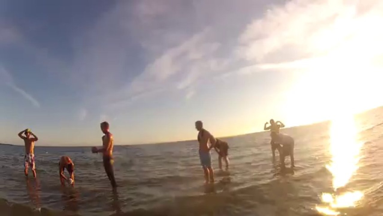 l'aqua poney sa coupe les jambes phonix roller hockey club de vannes