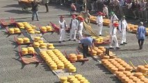 Le gouda - Série Pays-bas