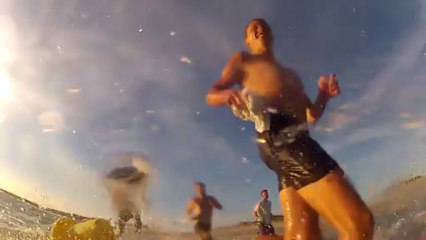 Y a du veau dans le chenal Phoenix Vannes Roller Hockey à Penvins