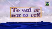 To Veil Or Not To Veil Ep 02 - Conditions Prior To Islam