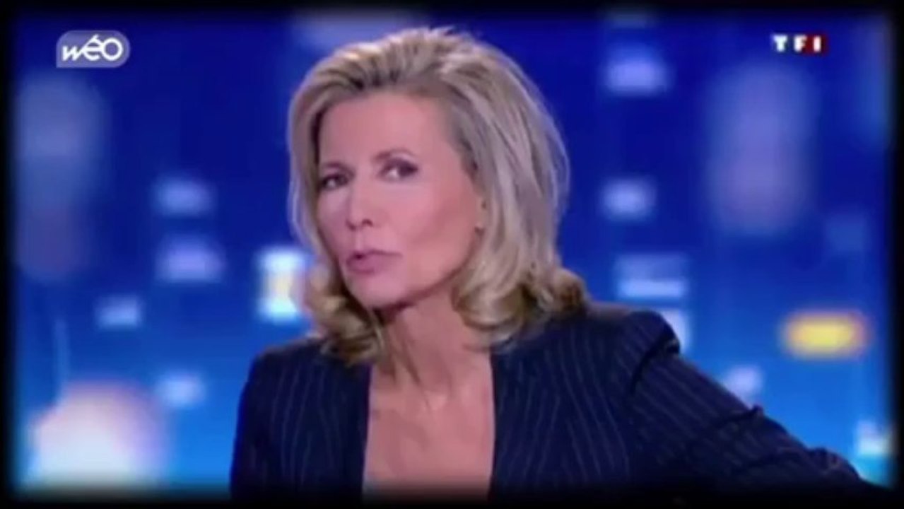 Interview de Côme et Antoine pour leur parodie de Bref : "Bref, Megaupload a fermé"