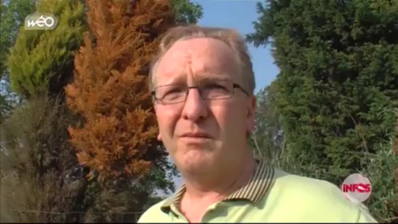 Un éleveur de Beaumont pleure ses moutons attaqués par des chiens