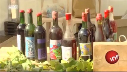 La cuvée 2012 du vin de Fives arrive !