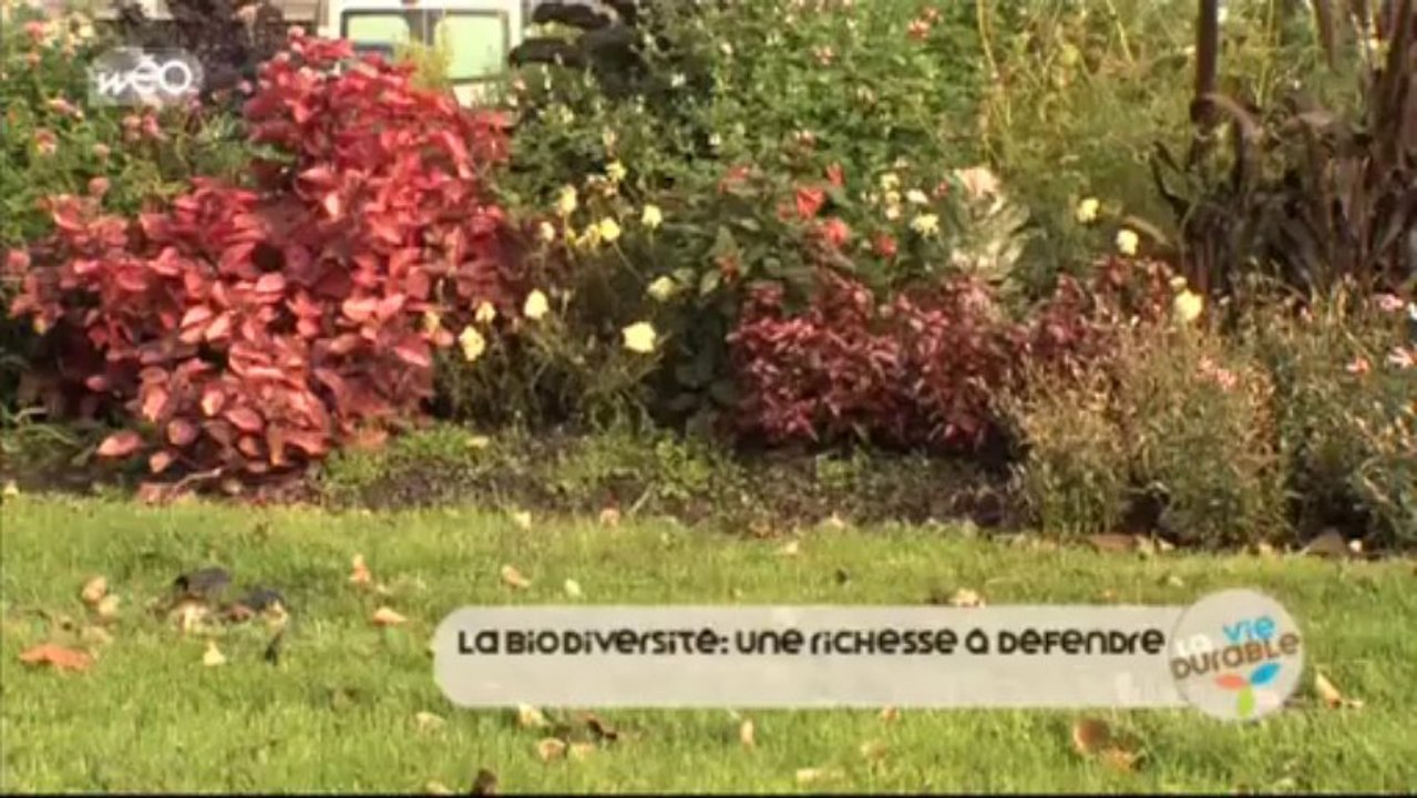 La chronique développement durable : les Assises de la Biodiversité