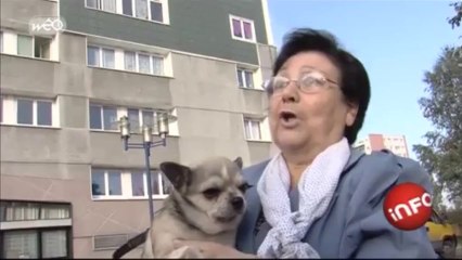 Evacuation de la tour Kennedy à Loos