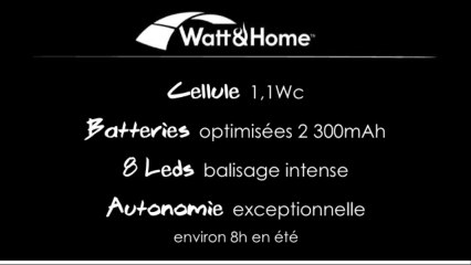 La Lampe Roseau solaire