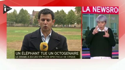 Un octogénaire tué par un coup de trompe d'éléphant