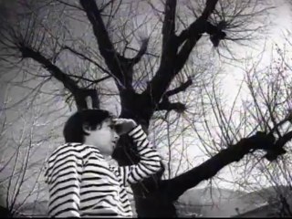 Gipsy Kings - Volare