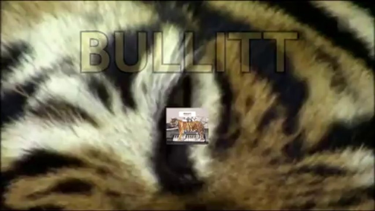 BULLITT en concert au 69