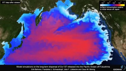 Fukushima - radioactive contamination/dispersion in the pacific sea