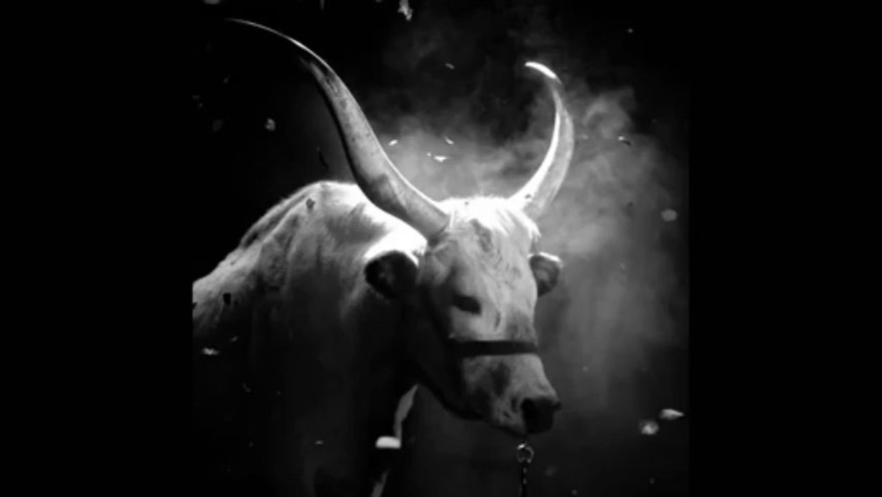 Frida Gold - Liebe ist meine Rebellion [Official Video] HD