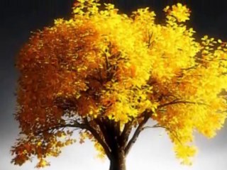 Cant de Gevaudan Luc Arbogast