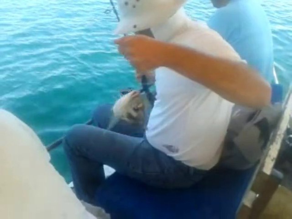 ismail kaptan balık avı 07.09.2013 tel 05334559097