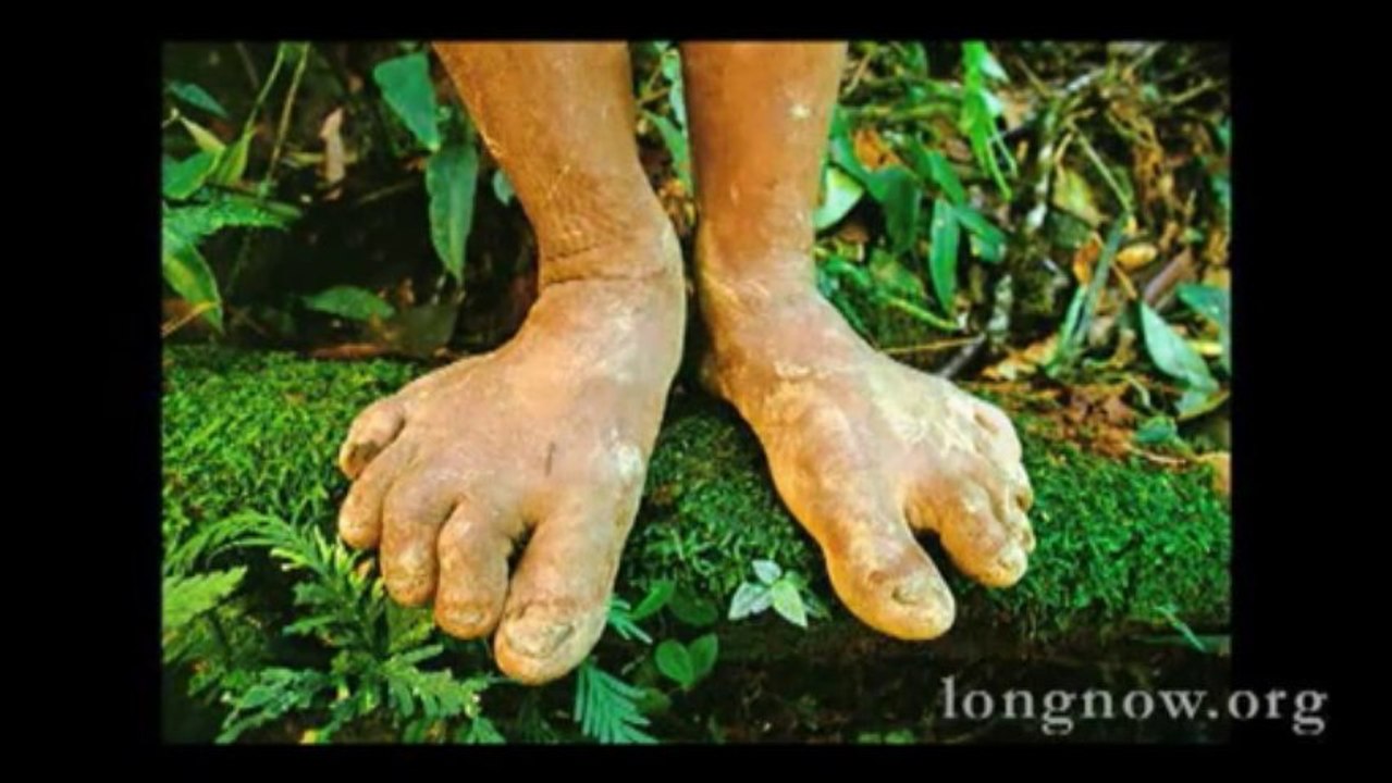 Patterns in Nature: How Photographs Magnify Evolution