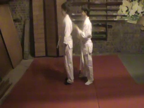 Ushiro ryote kubi shime dori