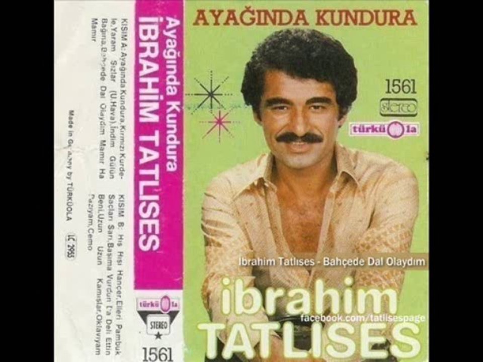 İbrahim Tatlıses - Bahçede Dal Olaydım