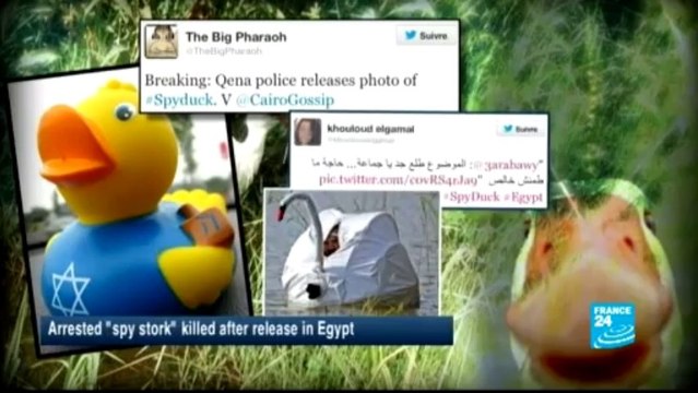 WEB NEWS - Moscow: Alexei Navalny refuses to recognize election results