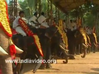 Elephant Procession - Parippali Gajamela Kollam Kerala