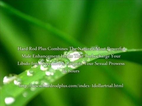 Erectile Dysfunction Vitamins Supplements