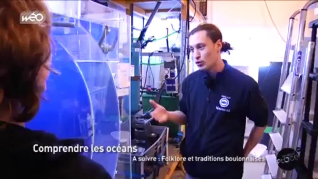 Nausicaa : comprendre les océans