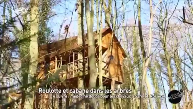 Roulotte et cabane dans les arbres