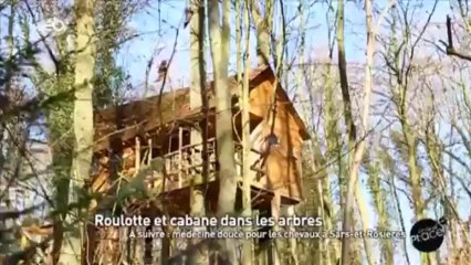 Roulotte et cabane dans les arbres