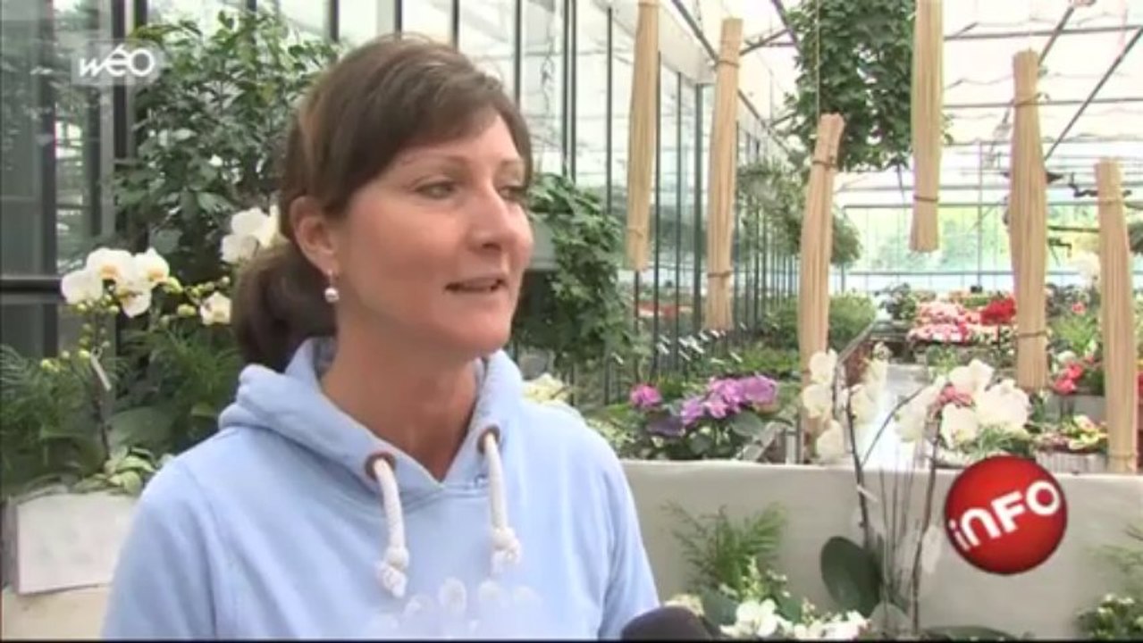 1er mai : le muguet, fleur du bonheur