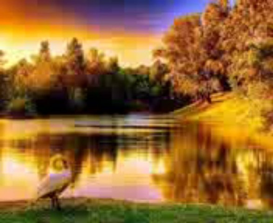 MÜSLÜM GÜRSES-KÖR OLSUN BU AŞKIN GÖZÜ KÖR OLSUN.