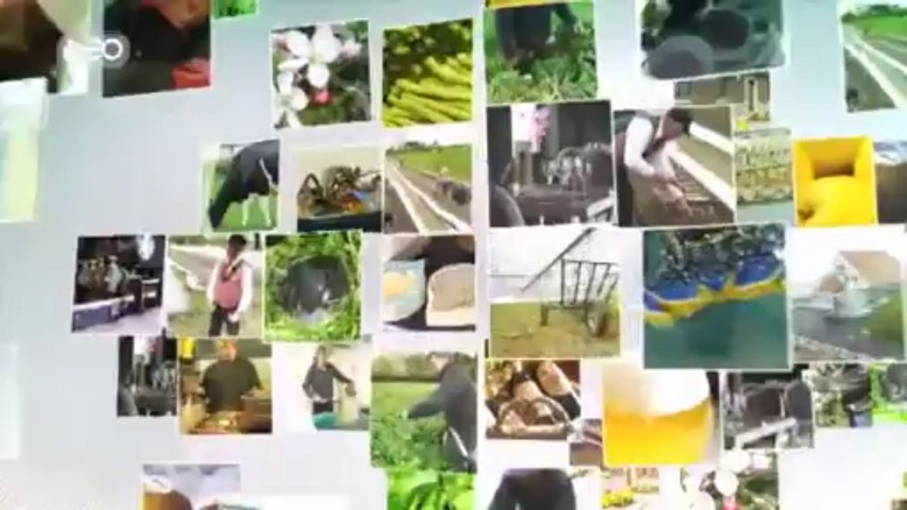 Du champ à l’assiette : Resto salade