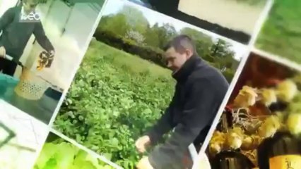Du champ à l’assiette : Asperge Blanche