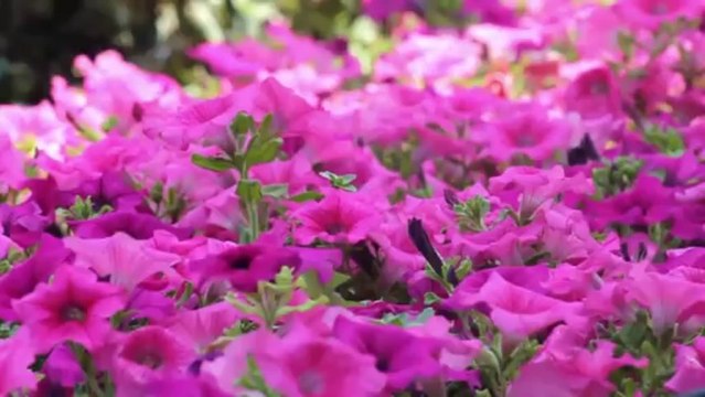 Grichenland Hotel Grecotel Amirandes beach hotel Crete, Labyrinth lounge